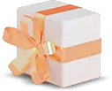 Gift Box - package box - gift - PNG