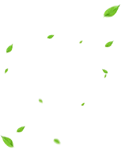 Green Leaves Falling - leaf - Free PNG