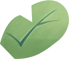 Leaf - Transparent Layer PNG - Trending PNG