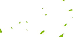 Leaves Falling - nature - No Watermark PNG