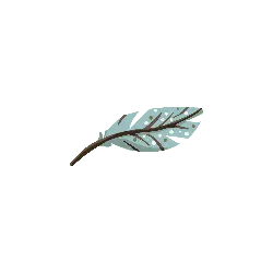 Feather - decoration - Curated PNG