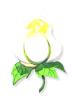 Flaming Rose - plant - Lossless PNG
