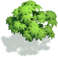 Green Plant - leaves - ecology - High Resolution PNG