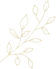 Branch - line drawing - plant - Transparent Layer PNG