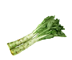 Chinese broccoli - vegetable - PNG Images