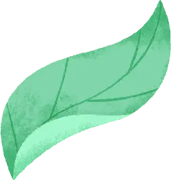 Leaf - Transparent Layer PNG - Free for Commercial Use PNG