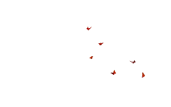 Butterfly - Designer Recommended PNG
