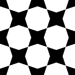 Black Owl - owl - PNG - Pic 5