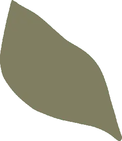 Leaf - Free PNG - Free for Commercial Use PNG