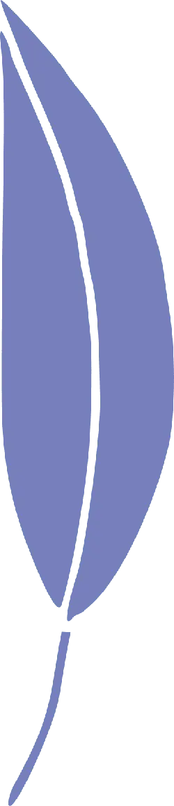 Leaf - Lossless PNG - Popular Download PNG
