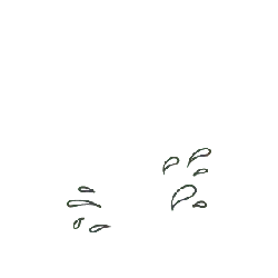 Abstract Water Droplets Pattern - line - High Resolution PNG