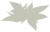 Star Pattern - abstract - green - Free PNG