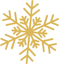 Snowflake - nature - PNG