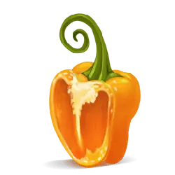 Bell Pepper - nutrition - No Watermark PNG