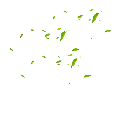 Leaves Falling - falling - Popular Download PNG