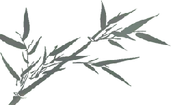 Bamboo - branch - Free PNG