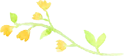 Yellow Flowering Branch - Free PNG