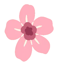Pink Flower - simple - Transparent Background PNG