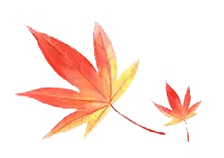 Maple Leaf - Lossless PNG - yellow