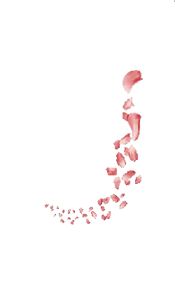 Pink Petals Falling - art - Highly Rated PNG