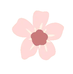 Transparent Layer PNG - spring - Cherry Blossom
