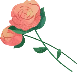Rose - green leaves - plant - High Resolution PNG