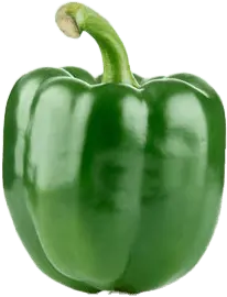 Green Pepper - green - Transparent Background PNG