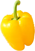 Bell Pepper - fresh - vegetable - High Resolution PNG
