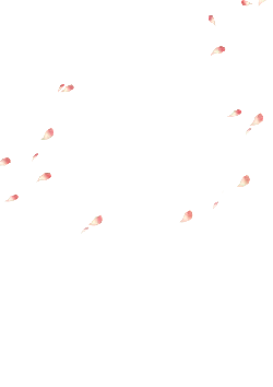 Pink Petals Falling - PNG Images - background