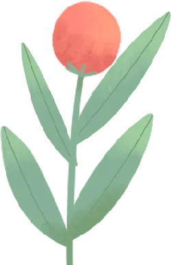 Red Fruit Plant - plant - High Resolution PNG
