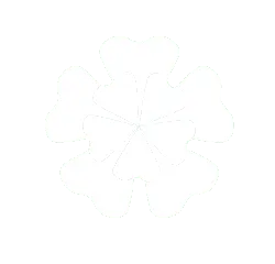 Five Petals Flower - symmetrical - Free Download PNG