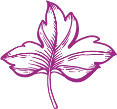 Maple Leaf - leaf - Lossless PNG