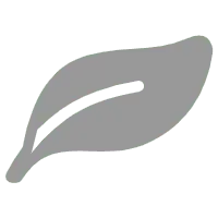 Leaf - environmental protection - Transparent Layer PNG