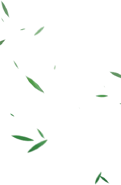 Falling Leaves - Highly Rated PNG - nature