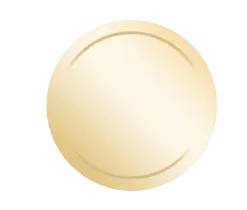 Gold Disc - Transparent Background PNG
