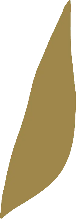 Leaf - leaf - green - High Resolution PNG