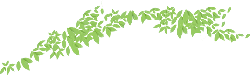 Green Leaves - nature - Popular Download PNG