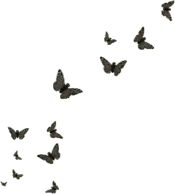 Butterflies Flying - nature - High Resolution PNG