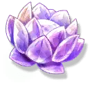 Purple Lotus - plant - Transparent Layer PNG