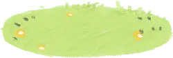 Yellow Objects on Grass - grass - Transparent Background PNG