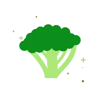 Broccoli - Fast Download PNG - food