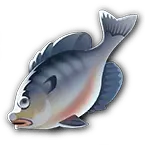 Blacktail Snapper - marine life - No Background PNG