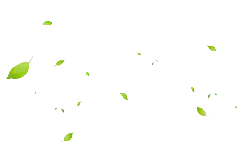 Falling Leaves - falling - No Background PNG