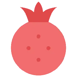 Pomegranate - circle - High Resolution PNG