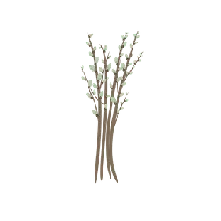 Willow Tree - nature - High Resolution PNG