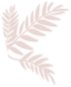 Palm Leaf - brown - plant - Transparent Layer PNG
