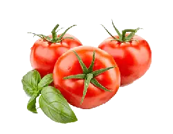 Tomato - circular - fresh - High Resolution PNG
