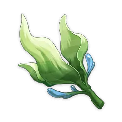 Water Drop Plant - nature - No Watermark PNG