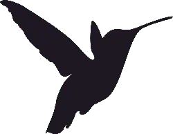 Hummingbird - silhouette - Transparent Layer PNG