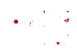 Red Petals - nature - Recommended PNG